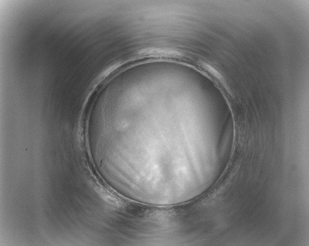 X0000068821074200605081139