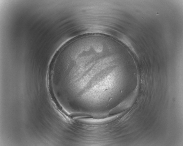 X0000068821076200605081139