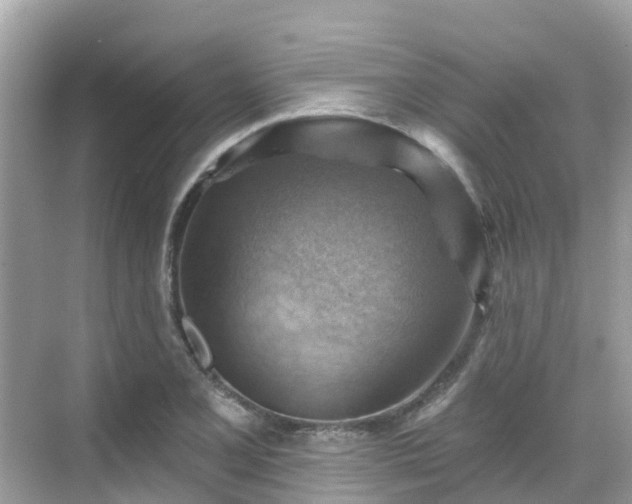 X0000068821077200605081139