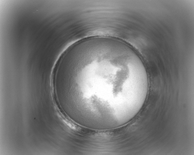 X0000068821078200605081139