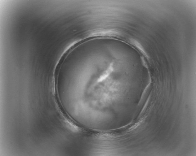 X0000068821079200605081139