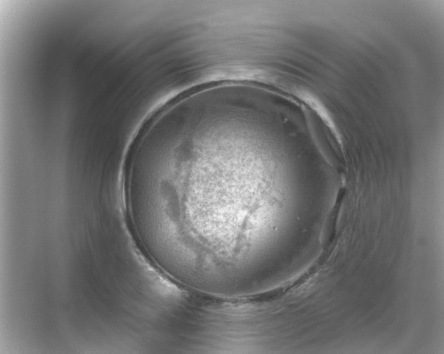 X0000068821080200605081139