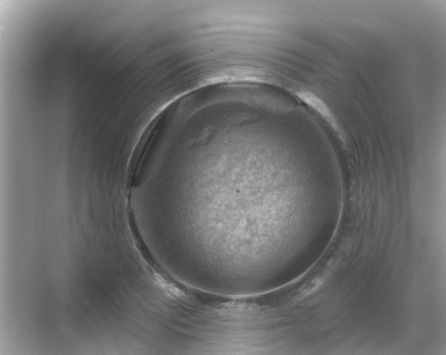 X0000068821081200605081139