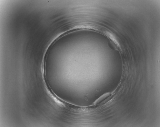 X0000068821084200605081139