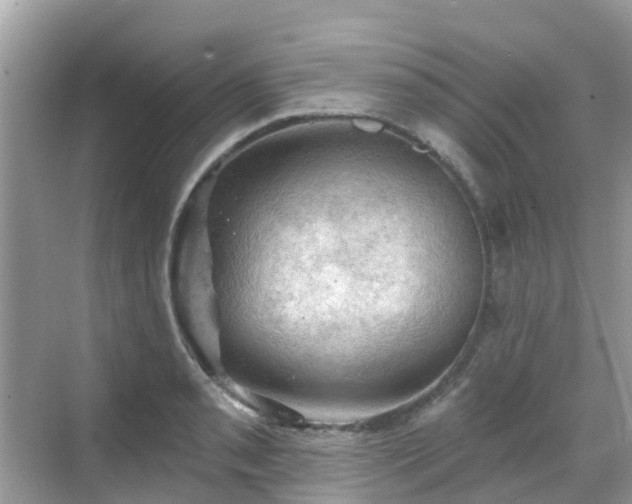 X0000068821085200605081139