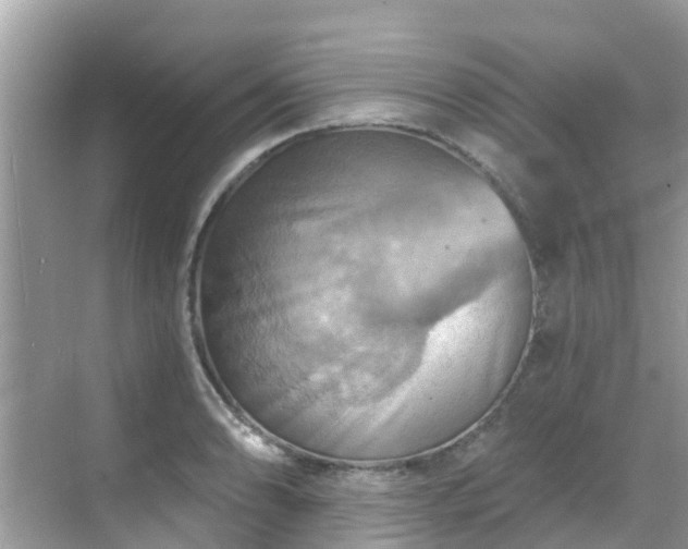 X0000068821086200605081139