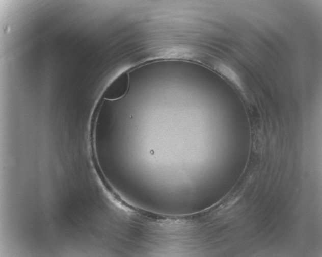 X0000068821087200605081139