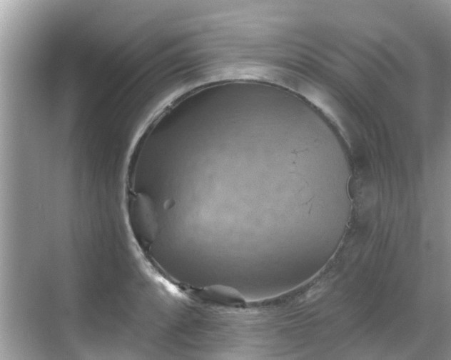 X0000068821088200605081139