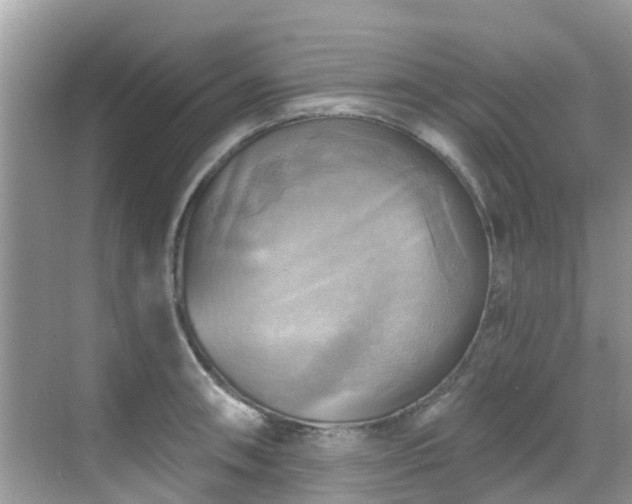 X0000068821090200605081139