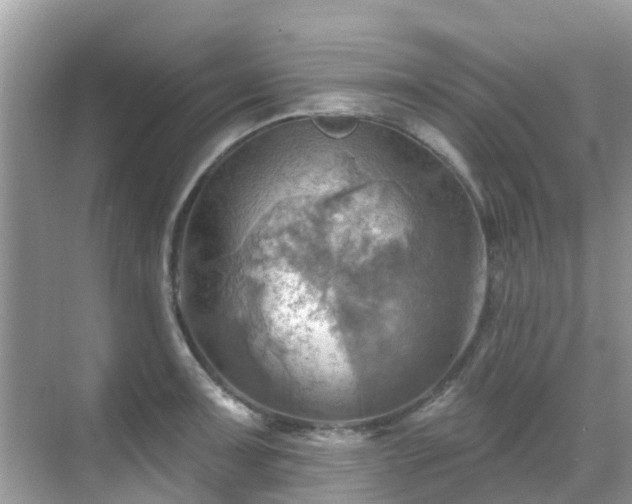 X0000068821091200605081139