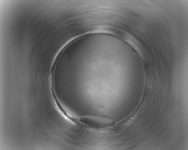 X0000068821092200605081139