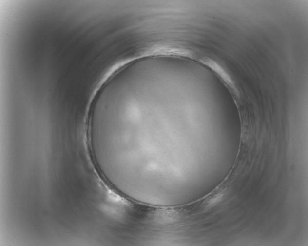 X0000068821094200605081139