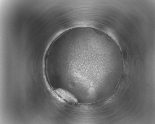 X0000068821096200605081139