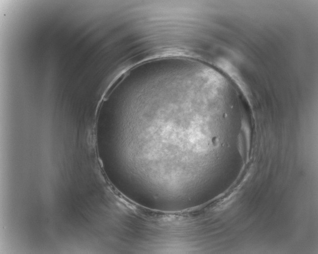 X0000068821097200605081139