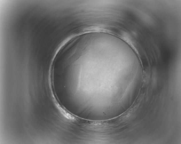 X0000068821098200605081139