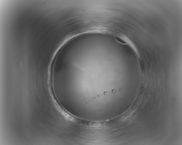 X0000068821099200605081139