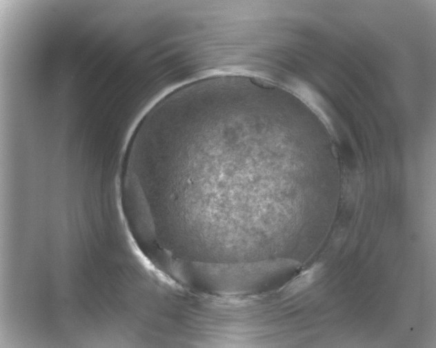 X0000068821100200605081139