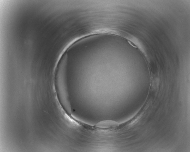 X0000068821102200605081139