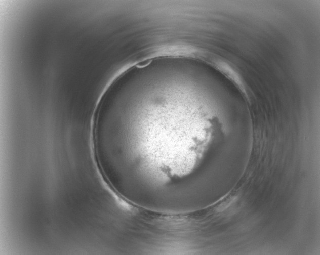 X0000068821103200605081139