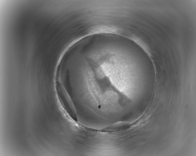 X0000068821104200605081139