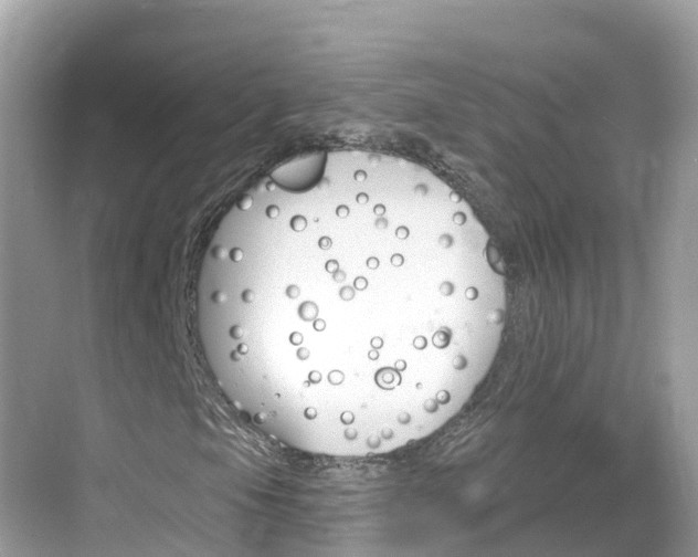 X0000068821105200605081138