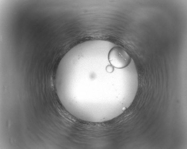 X0000068821106200605081138