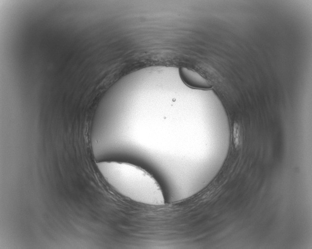 X0000068821107200605081138