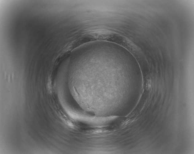 X0000068821108200605081138