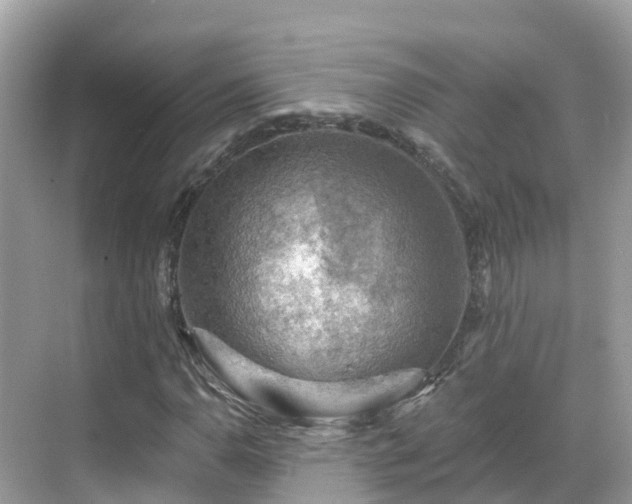 X0000068821110200605081138