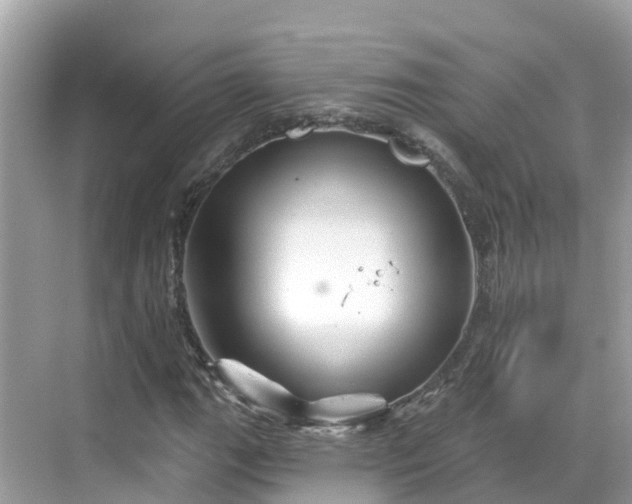 X0000068821111200605081138