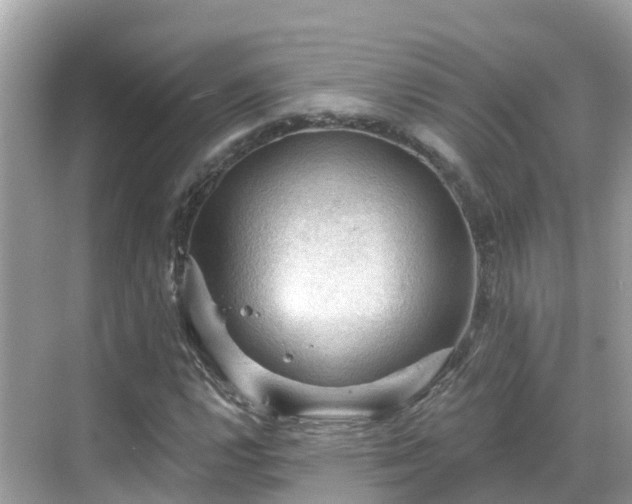 X0000068821112200605081138