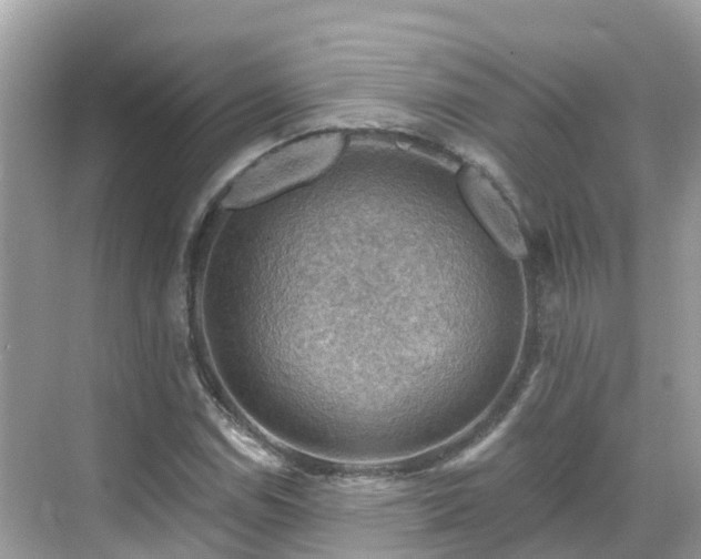 X0000068821114200605081138