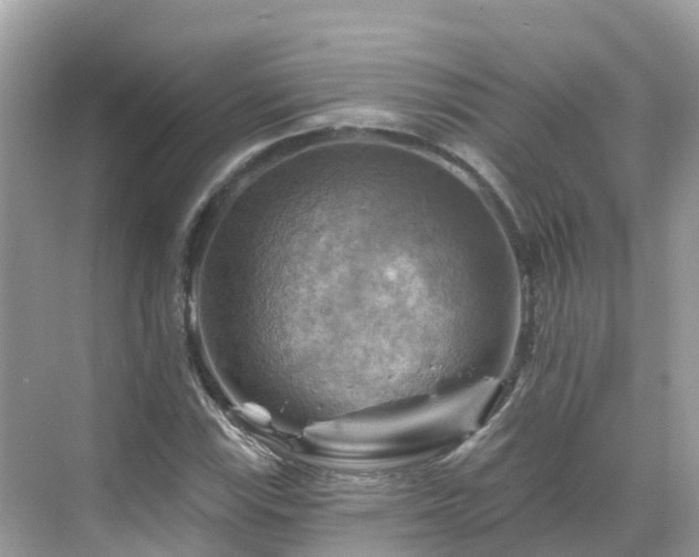 X0000068821115200605081138