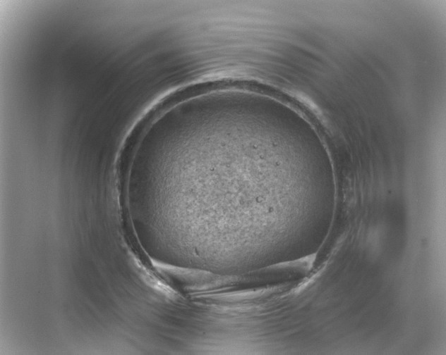 X0000068821118200605081138