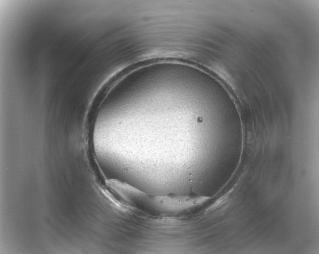 X0000068821119200605081138