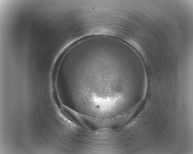 X0000068821120200605081138