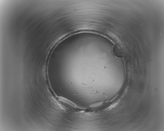 X0000068821121200605081138