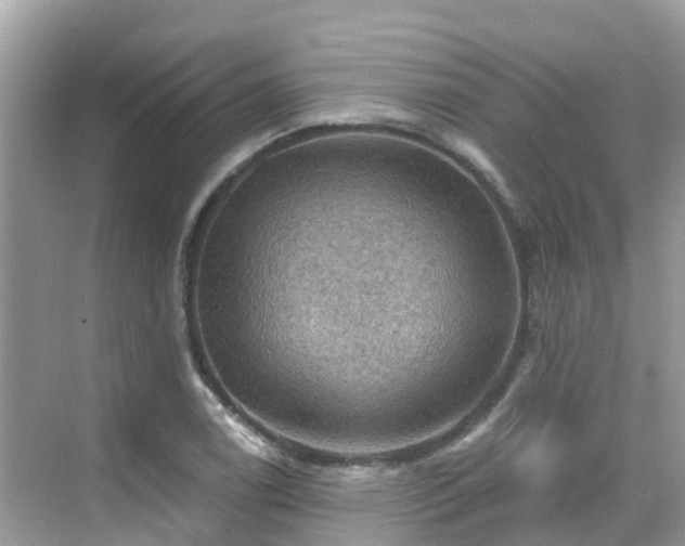 X0000068821122200605081138