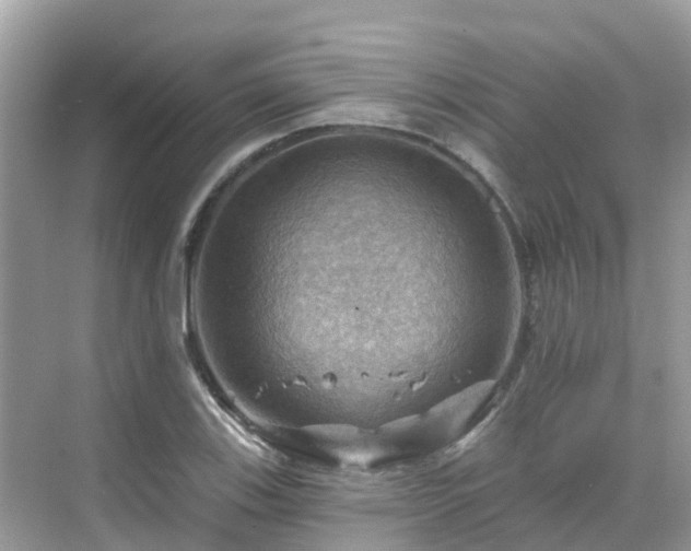 X0000068821123200605081138