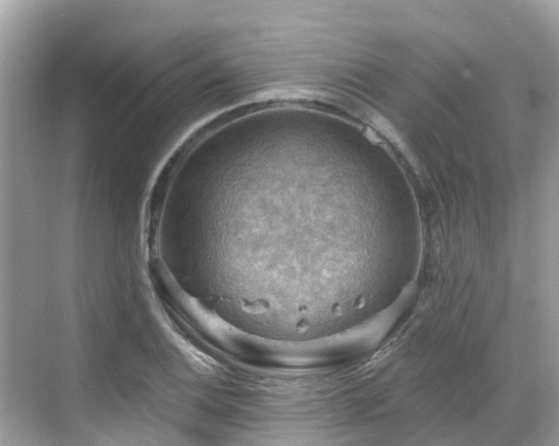 X0000068821124200605081138