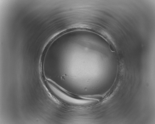 X0000068821125200605081138