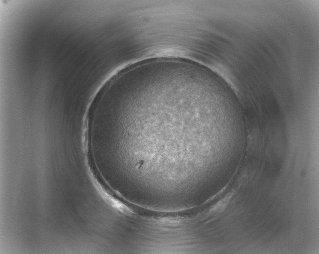 X0000068821126200605081138