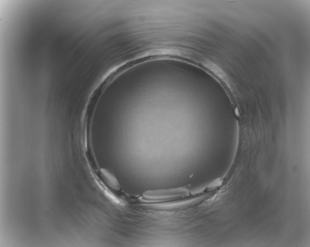 X0000068821127200605081138