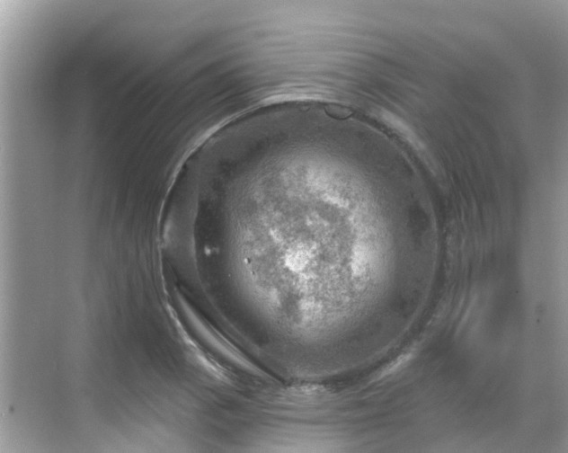 X0000068821129200605081138