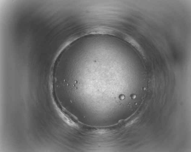 X0000068821130200605081138