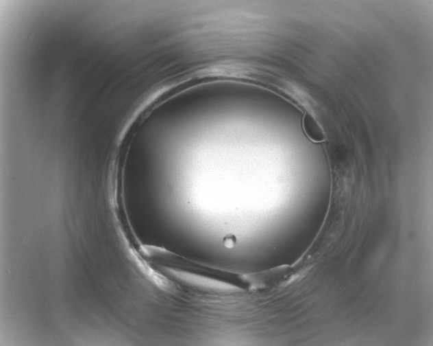 X0000068821131200605081138