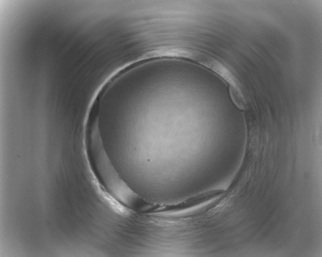 X0000068821132200605081138