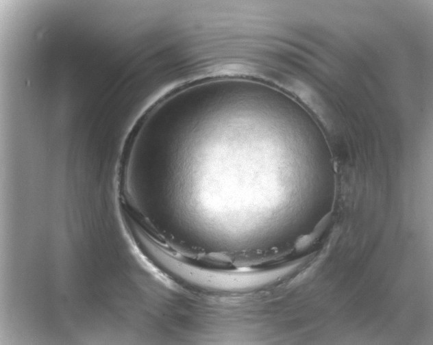 X0000068821134200605081138