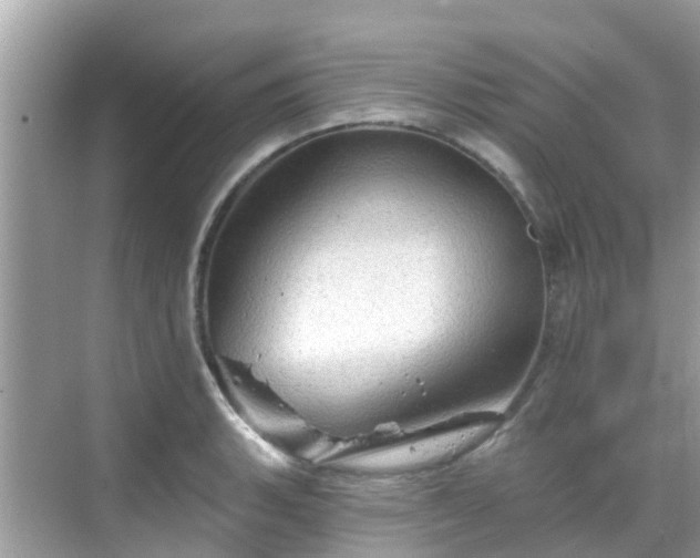 X0000068821135200605081138