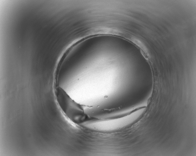 X0000068821136200605081138